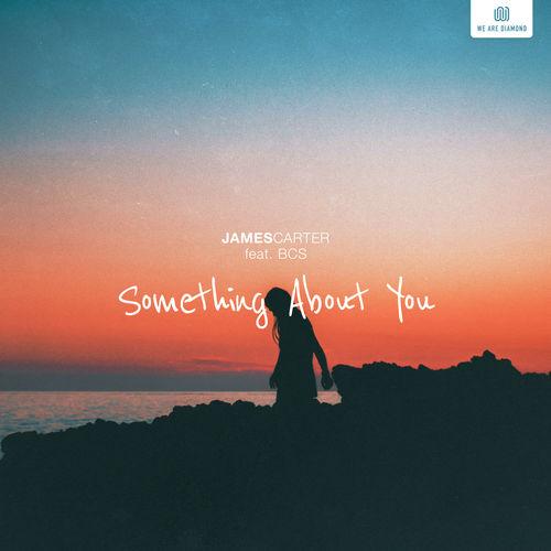 Album cover art for Something About You