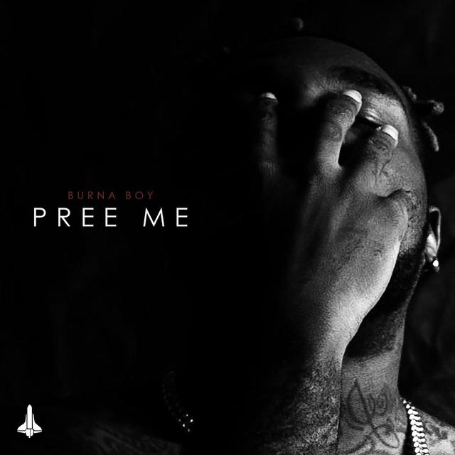 Album cover art for Pree Me