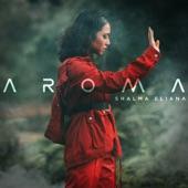 Album cover art for Aroma