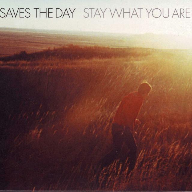 Album cover art for Stay What You Are