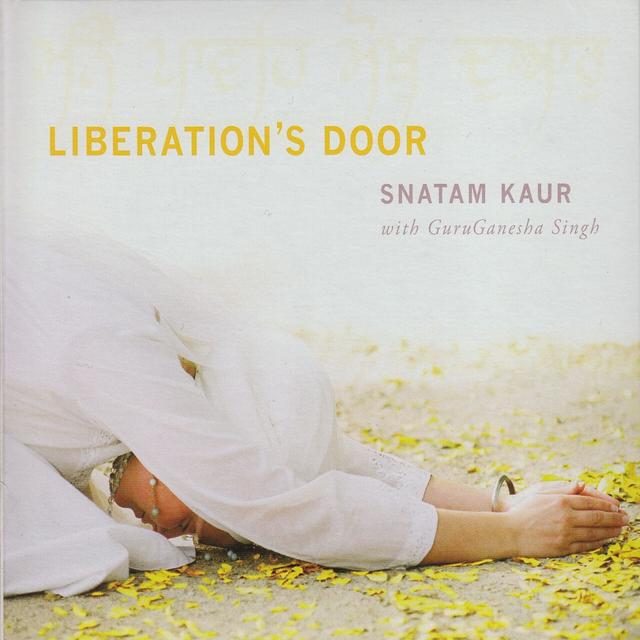 Album cover art for Liberation's Door