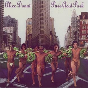 Album cover art for Pure Acid Park