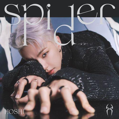 Album cover art for Spider