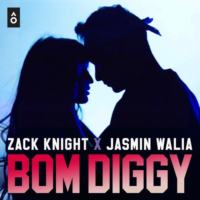 Album cover art for Bom Diggy