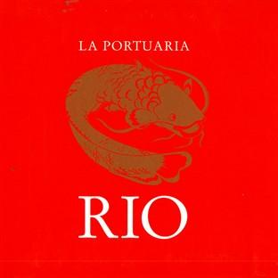 Album cover art for Rio