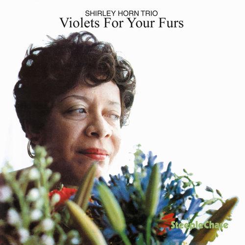 Album cover art for Violets for Your Furs