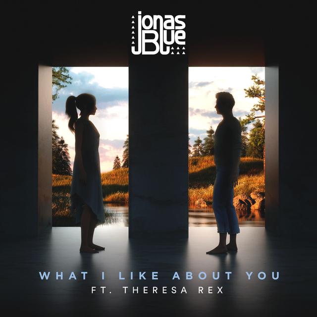 Album cover art for What I Like About You