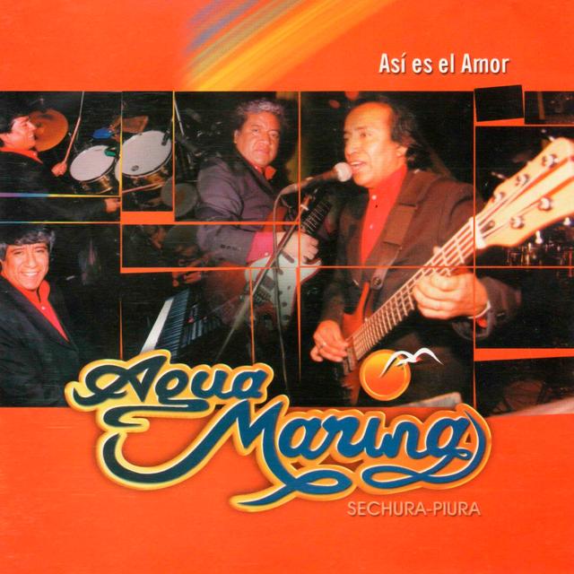 Album cover art for Así Es el Amor, Vol. 13