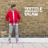 Album cover art for Salam