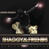 Album cover art for Shaggy & Friends