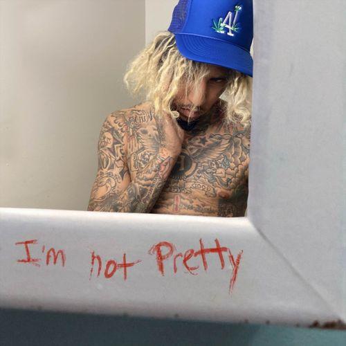 Album cover art for I'm Not Pretty (Remix)