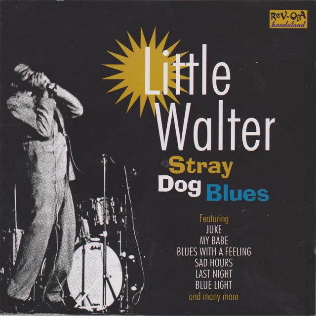 Album cover art for Stray Dog Blues