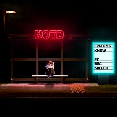 Album cover art for I Wanna Know