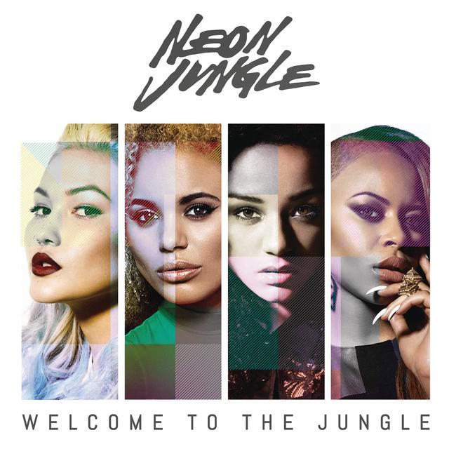 Album cover art for Welcome To The Jungle