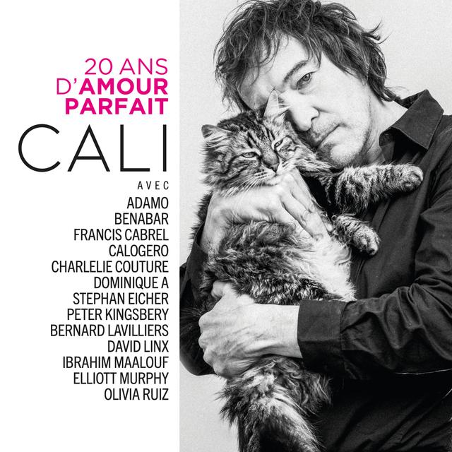 Album cover art for 20 Ans d'Amour Parfait