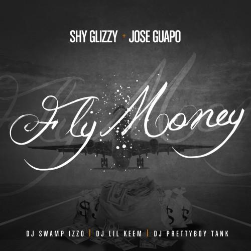 Album cover art for Fly Money