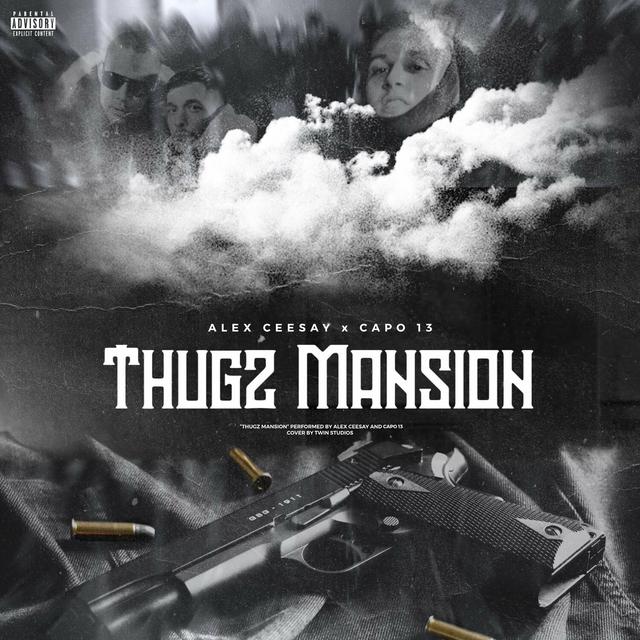 Album cover art for Thugz Mansion