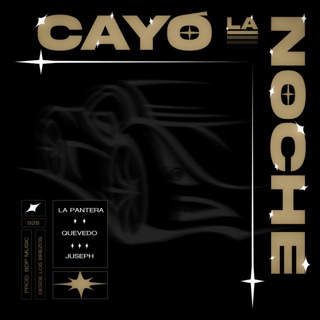 Album cover art for Cayó la Noche