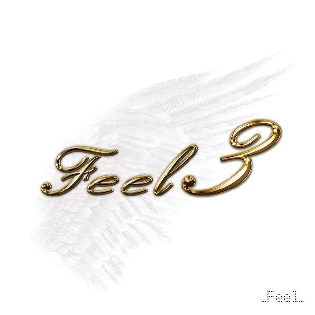 Album cover art for Feel 3