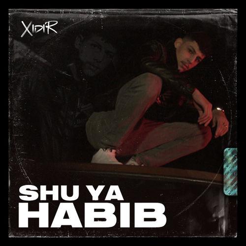 Album cover art for Shu ya habib