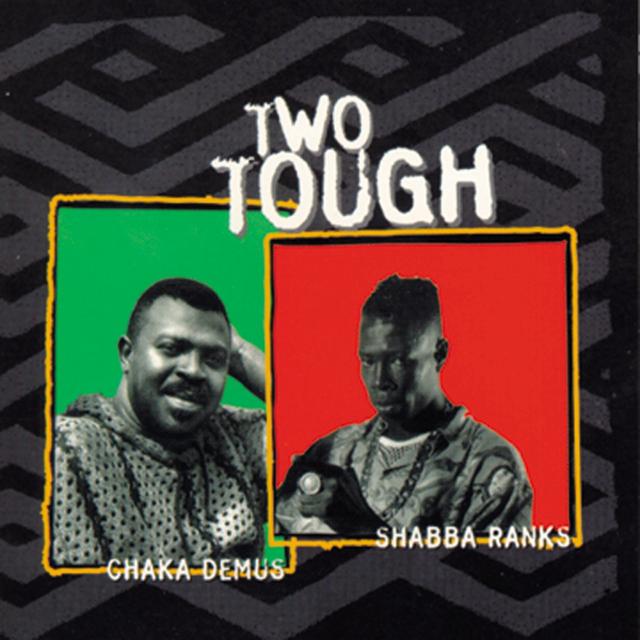 Album cover art for Two Tough