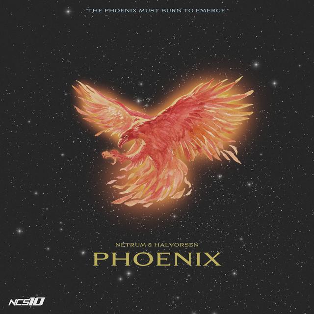 Album cover art for Phoenix