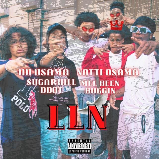 Album cover art for Long Live Notti