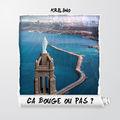 Album cover art for Ça bouge ou pas