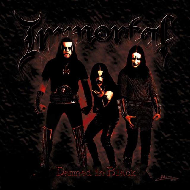 Album cover art for Damned in Black