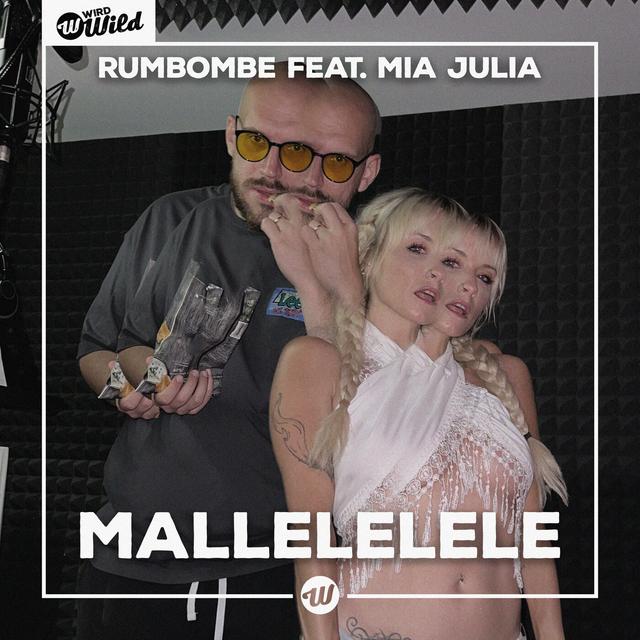 Album cover art for Mallelelele