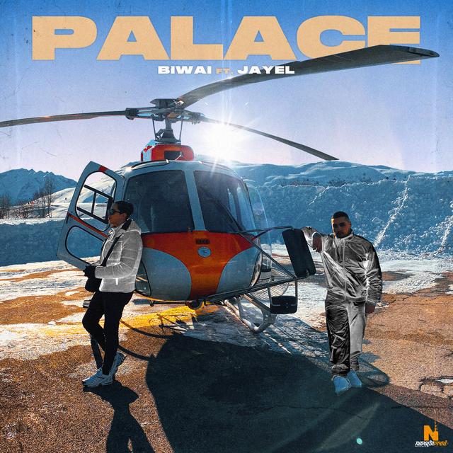 Album cover art for Palace