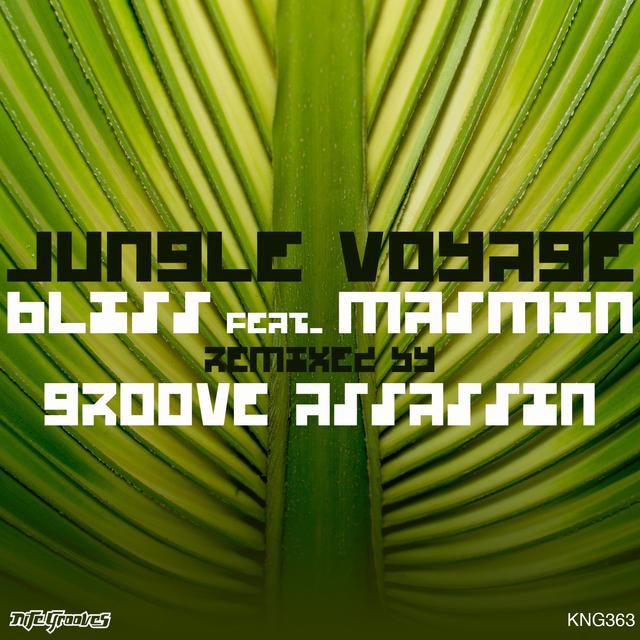 Album cover art for Jungle Voyage