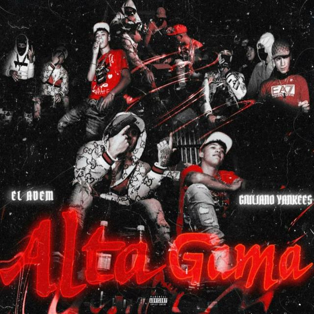 Album cover art for Alta Gama