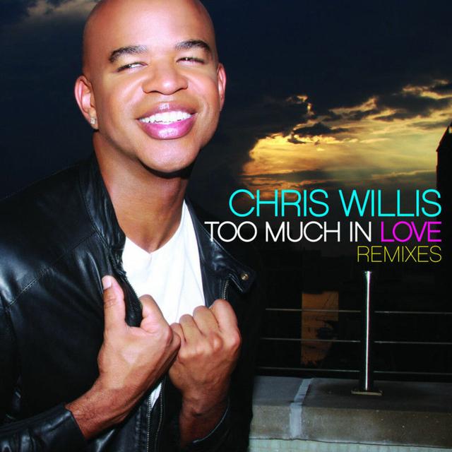 Album cover art for Too Much In Love Remixes