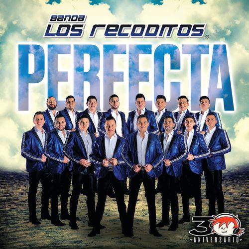 Album cover art for Perfecta