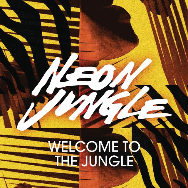 Album cover art for Welcome To The Jungle Remixes