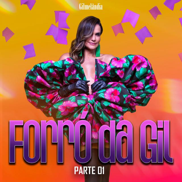 Album cover art for Forró da Gil - Parte 01