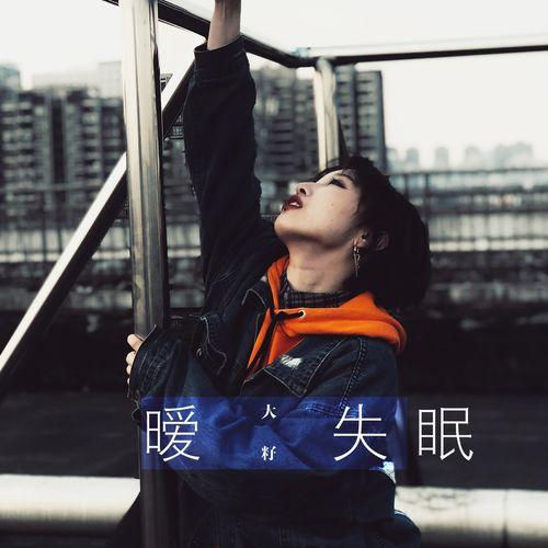 Album cover art for 暧失眠