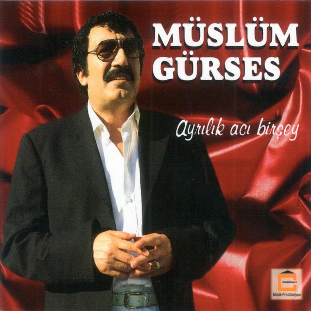 Album cover art for Ayrılık Acı Birşey