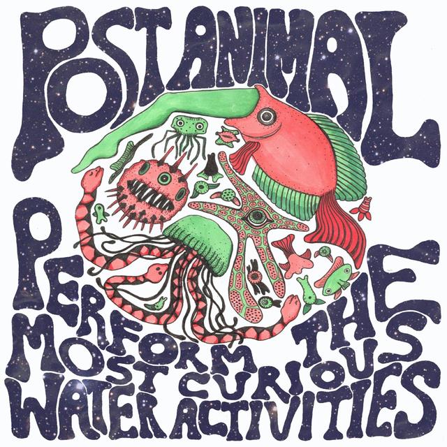 Album cover art for Perform the Most Curious Water Activities