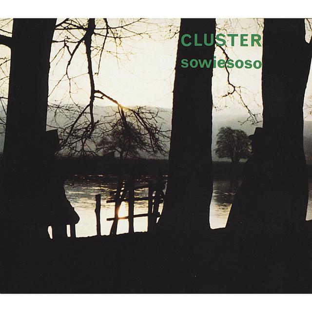 Album cover art for Sowiesoso