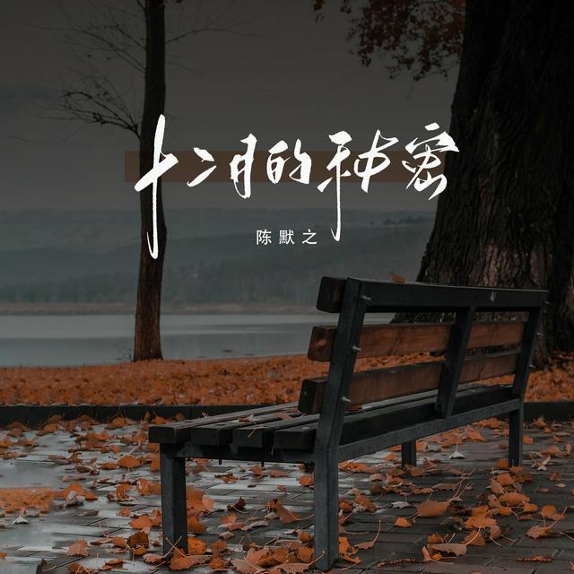 Album cover art for 十二月的秘密