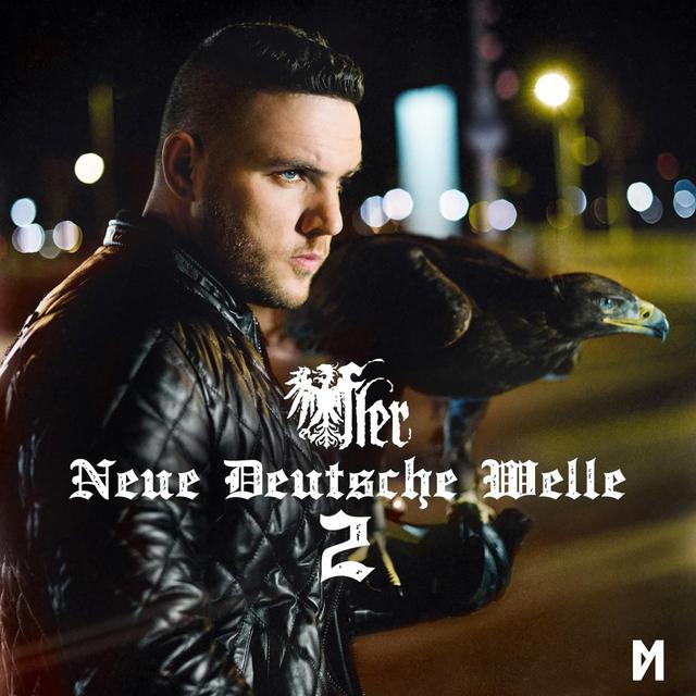 Album cover art for Neue Deutsche Welle 2