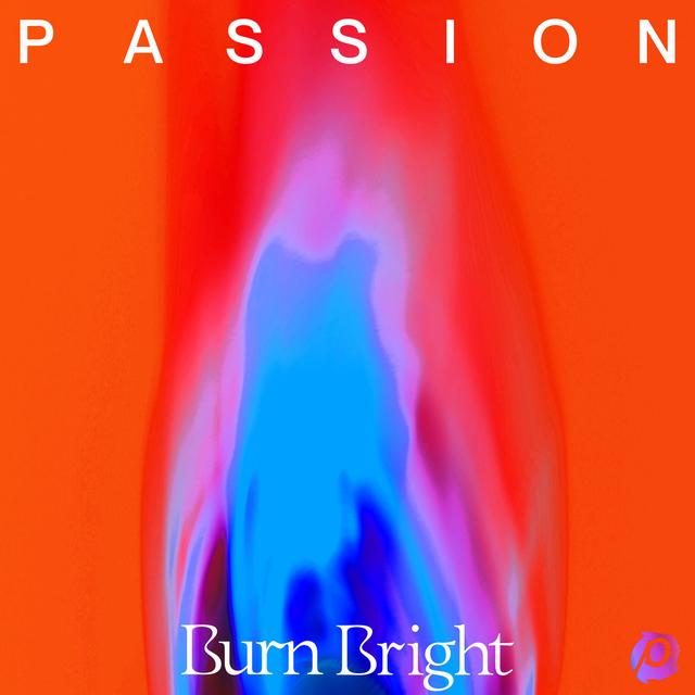 Album cover art for Burn Bright