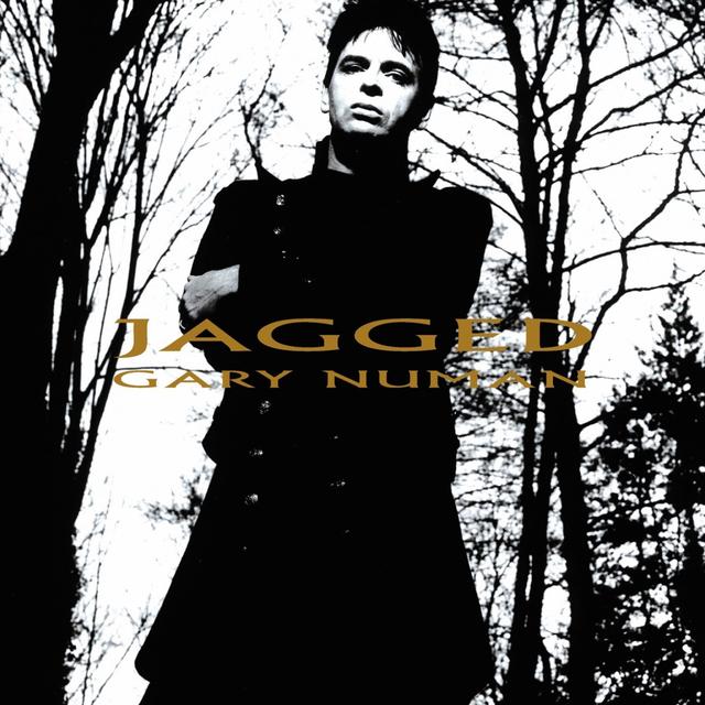 Album cover art for Jagged