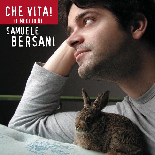 Album cover art for Che Vita! Il Meglio Di Samuele Bersani