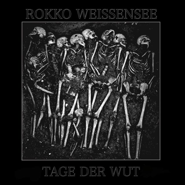 Album cover art for Tage der Wut