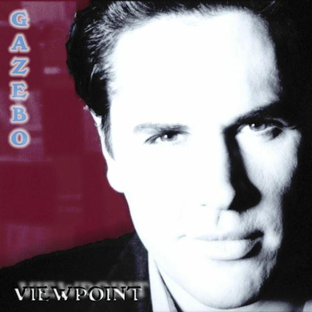 Album cover art for Viewpoint