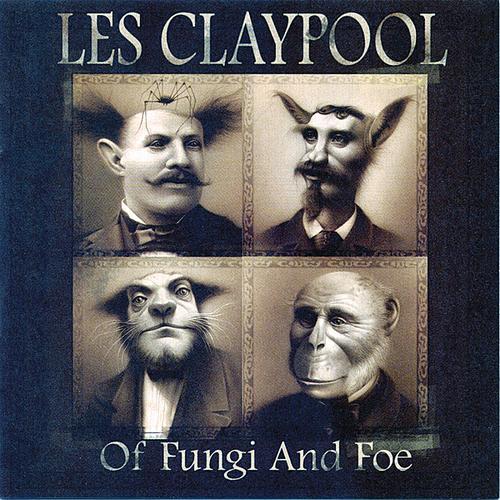 Album cover art for Of Fungi and Foe