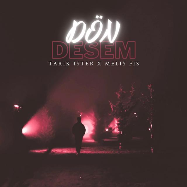 Album cover art for Dön Desem